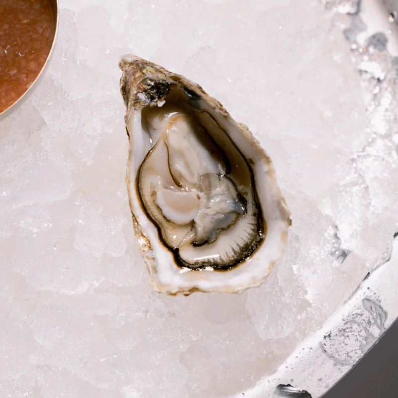 Oysters on crushed ice at Mazarine seafood restaurant, Mayfair