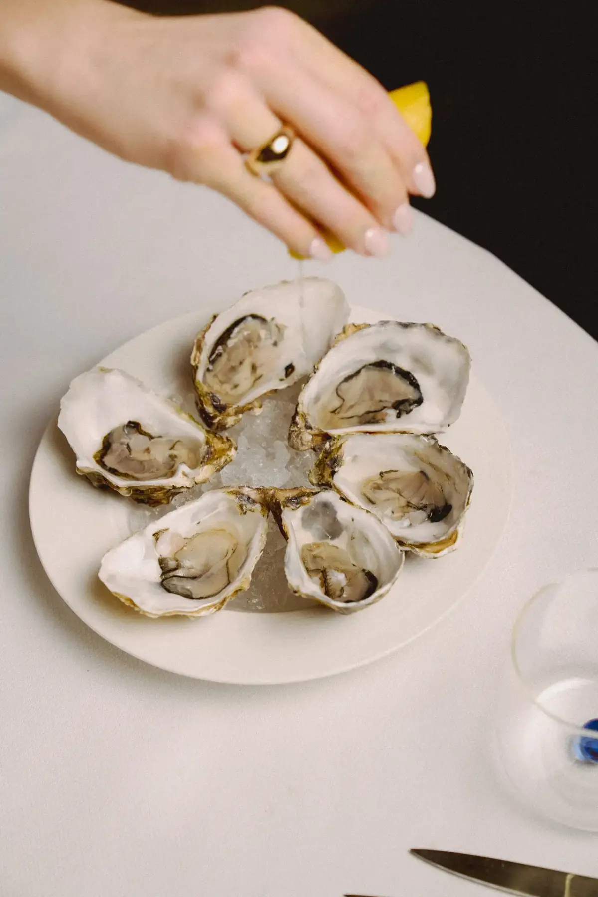 Fresh oysters with lemon
